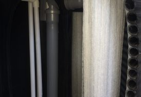 IMG_8773